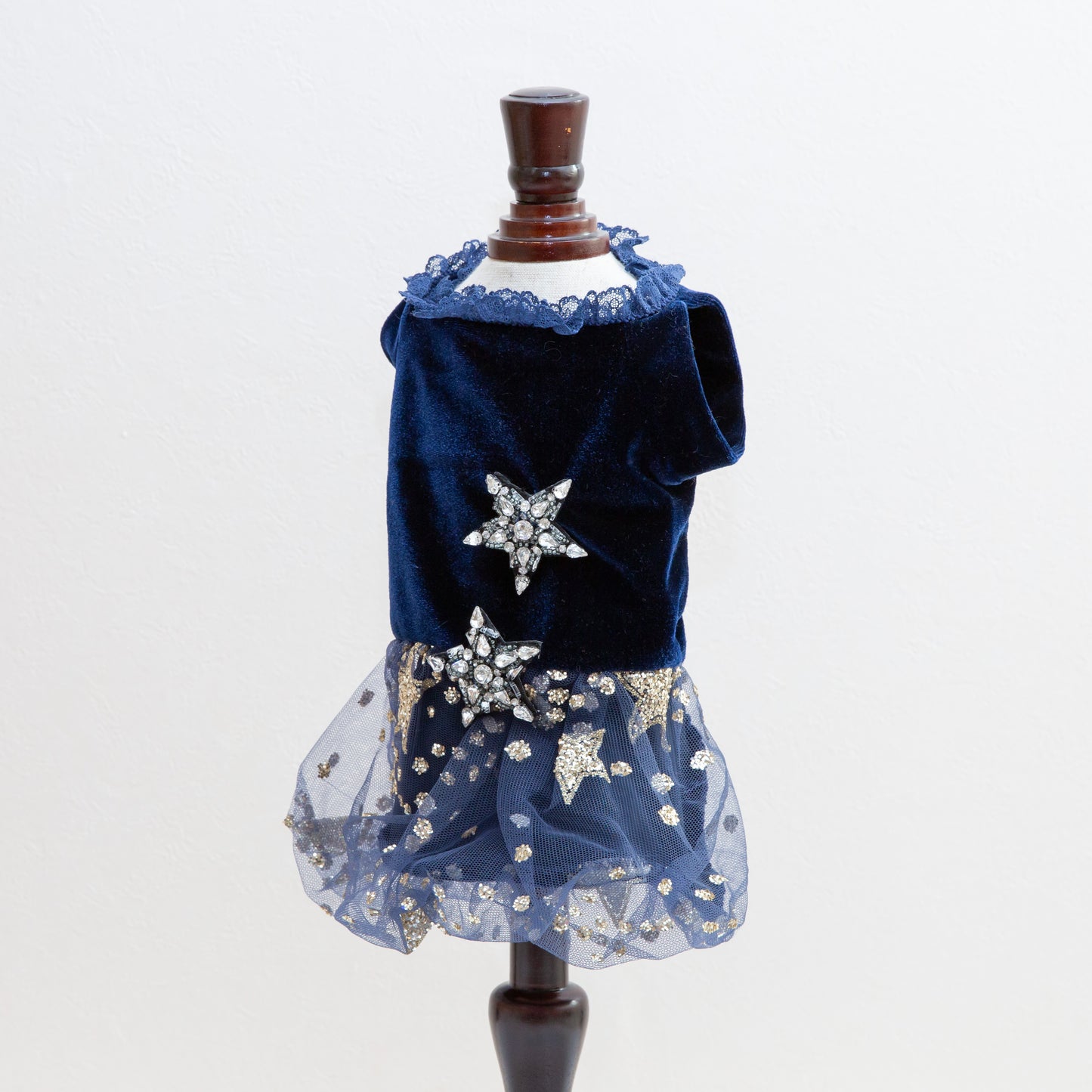 The Princess Dress Stars