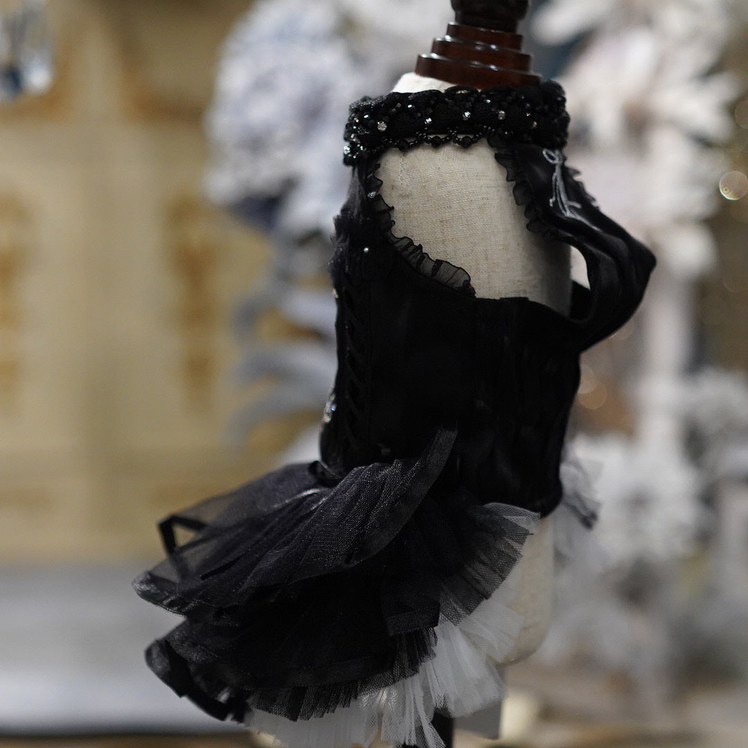 Black Swan 【Miss blue pet】