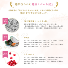 PUPPILY DELICA PREMIUM ドライフード/400g