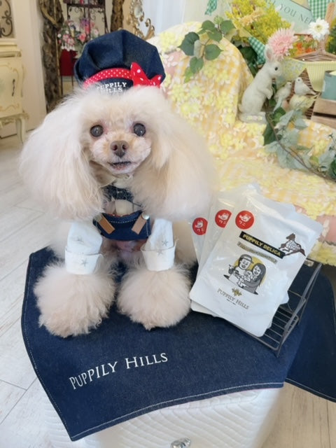 パピリーヒルズについて – パピリーヒルズ オンラインショップ