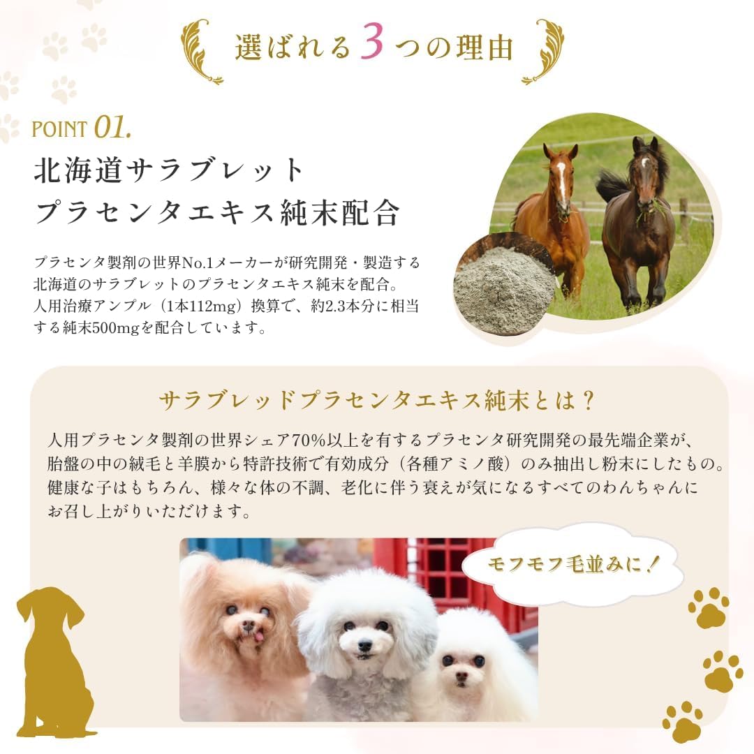 PUPPILY DELICA PREMIUM ドライフード/1kg