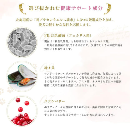 PUPPILY DELICA PREMIUM ドライフード/1kg