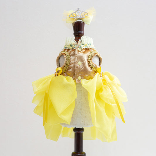 ﾍﾞﾙﾄﾞﾚｽ