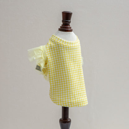 ｵﾘｼﾞﾅﾙｷﾞﾝｶﾞﾑﾁｪｯｸTｼｬﾂ