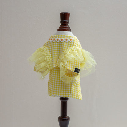 ｵﾘｼﾞﾅﾙｷﾞﾝｶﾞﾑﾁｪｯｸTｼｬﾂ