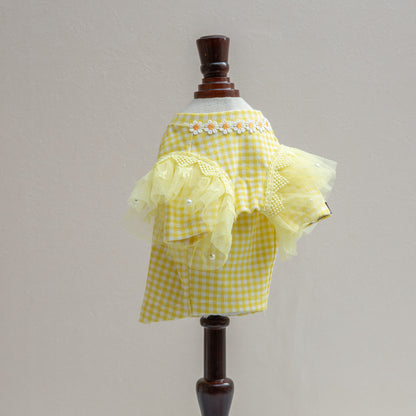 ｵﾘｼﾞﾅﾙｷﾞﾝｶﾞﾑﾁｪｯｸTｼｬﾂ