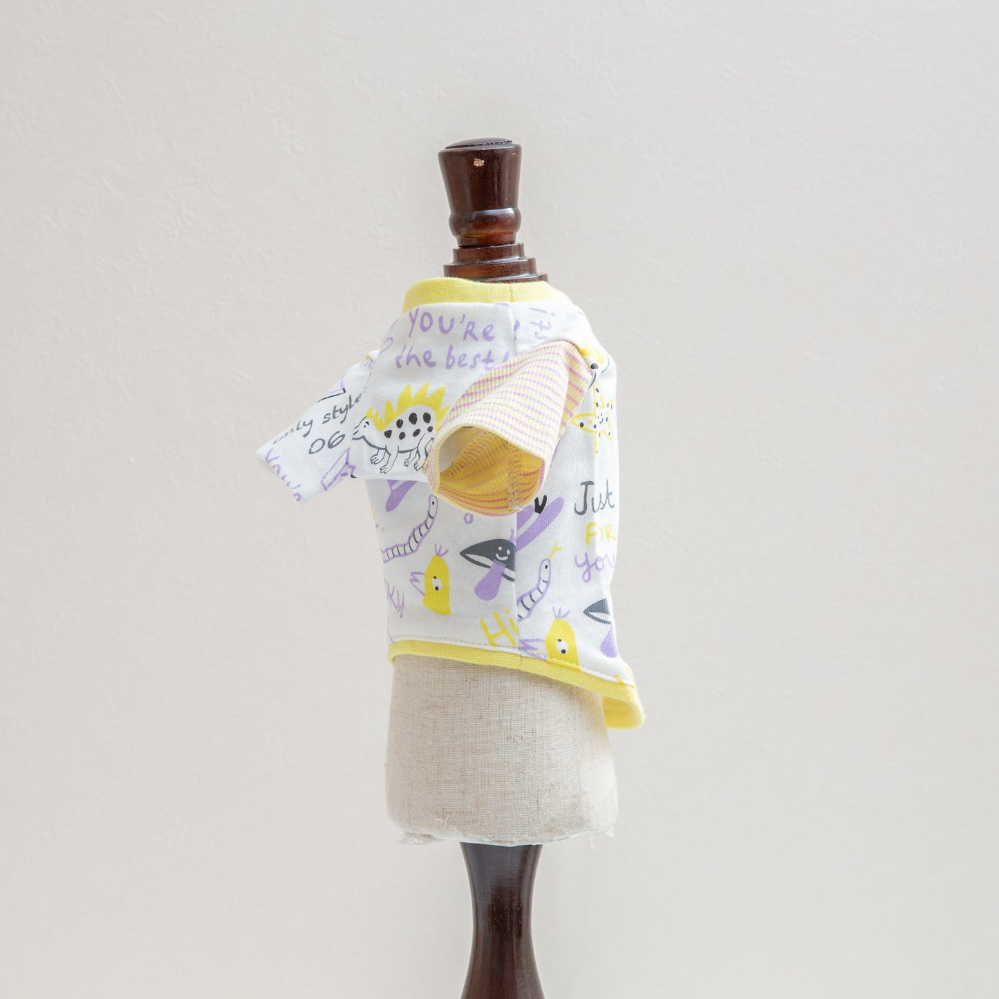 Dinosaur Tshirts【OROKU】