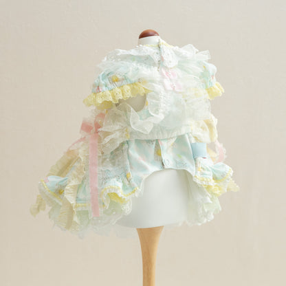 Daisy girl ｴﾌﾟﾛﾝset 【Miss blue pet】