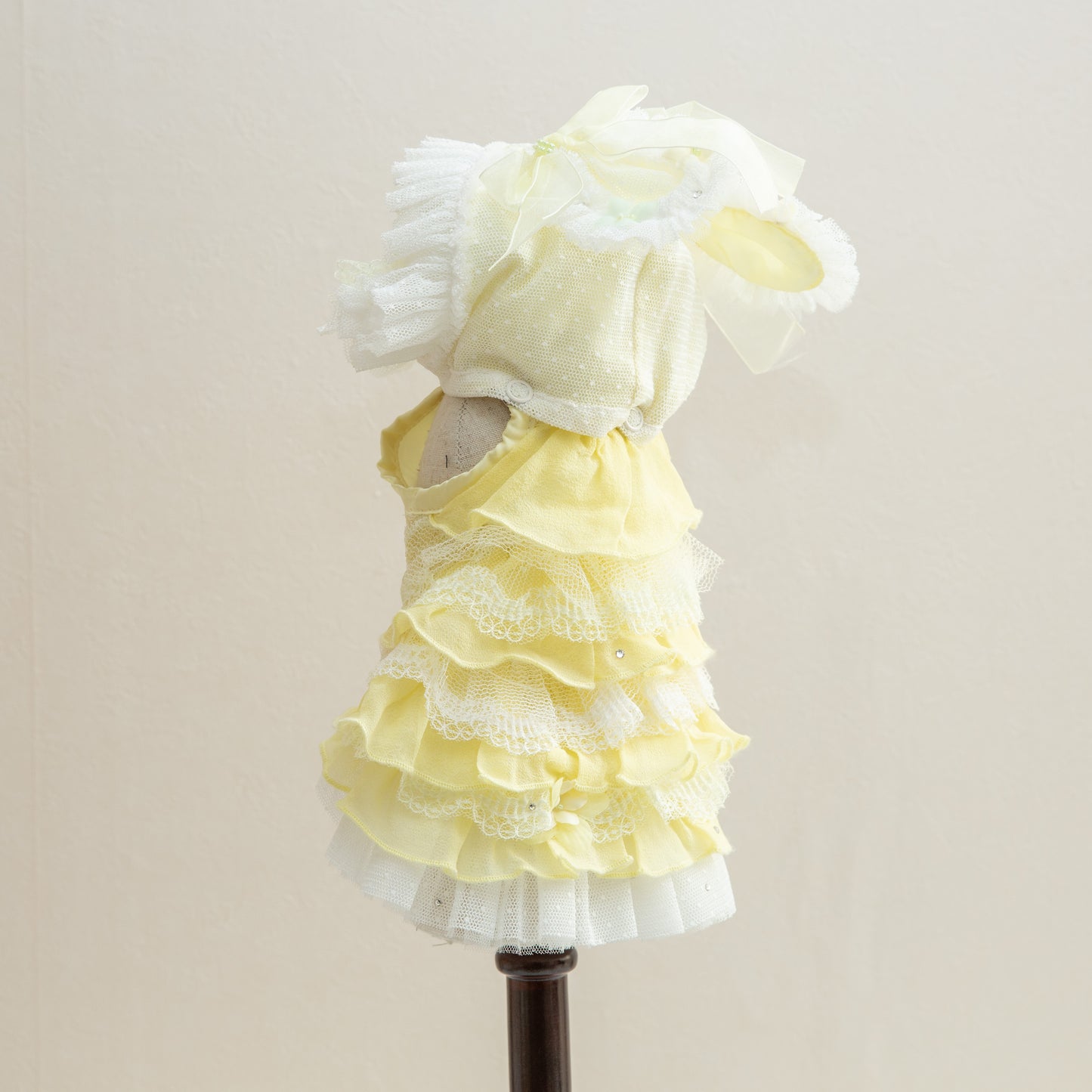 森の妖精【Miss blue pet】