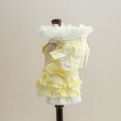 森の妖精【Miss blue pet】