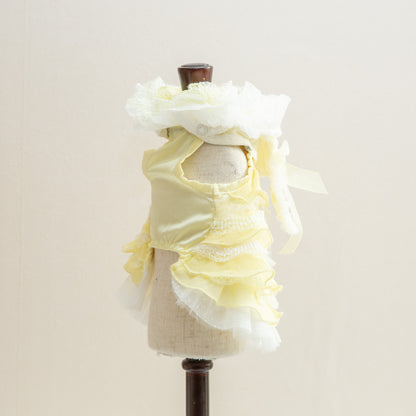 森の妖精【Miss blue pet】