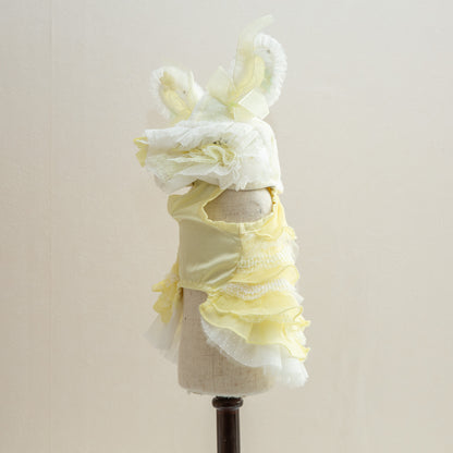 森の妖精【Miss blue pet】