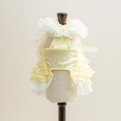 森の妖精【Miss blue pet】