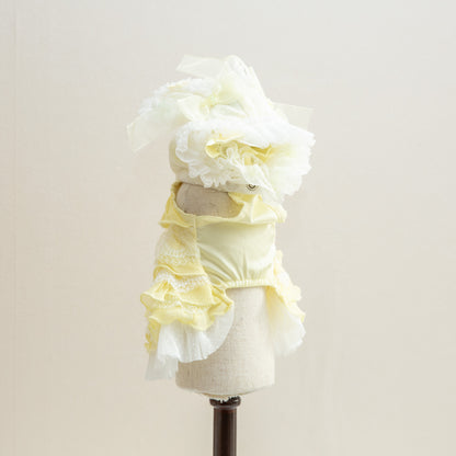 森の妖精【Miss blue pet】