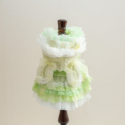 森の妖精【Miss blue pet】