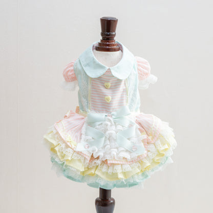 pastel girl 【Miss blue pet】