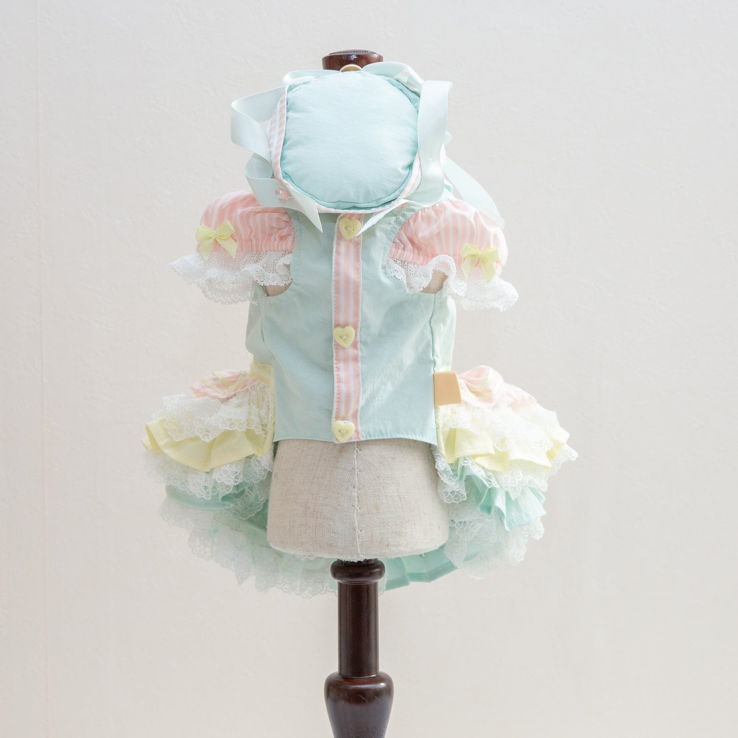 pastel girl 【Miss blue pet】