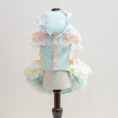 pastel girl 【Miss blue pet】