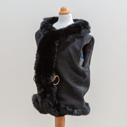 The Harness cortina【It-Dogs】