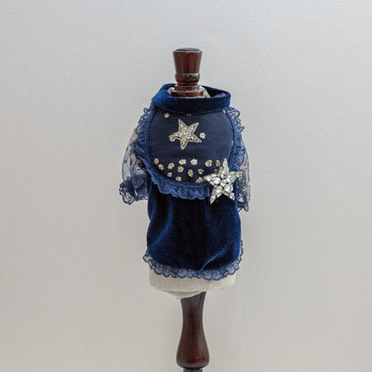 The Puffy Shirt Stars