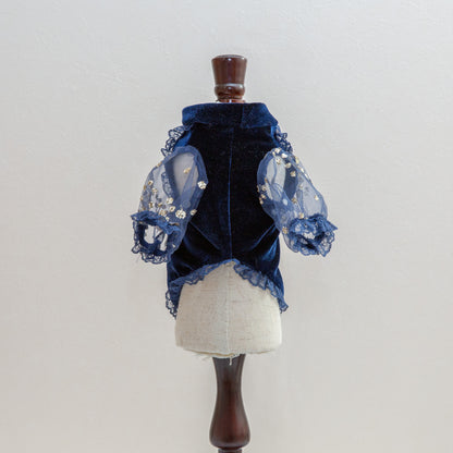 The Puffy Shirt Stars