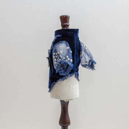 The Puffy Shirt Stars