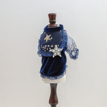 The Puffy Shirt Stars