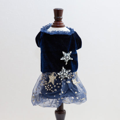 The Princess Dress Stars