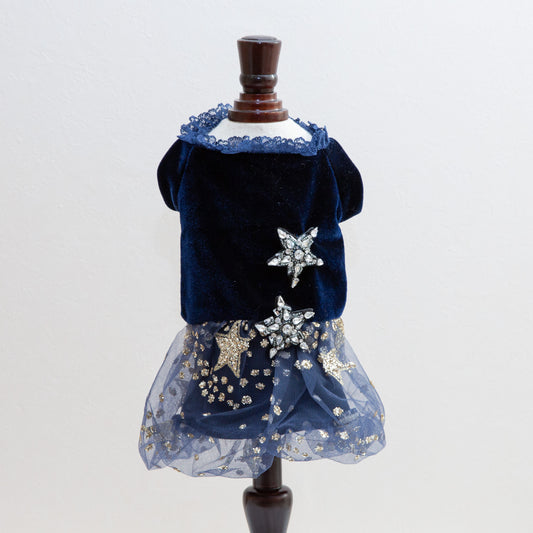 The Princess Dress Stars