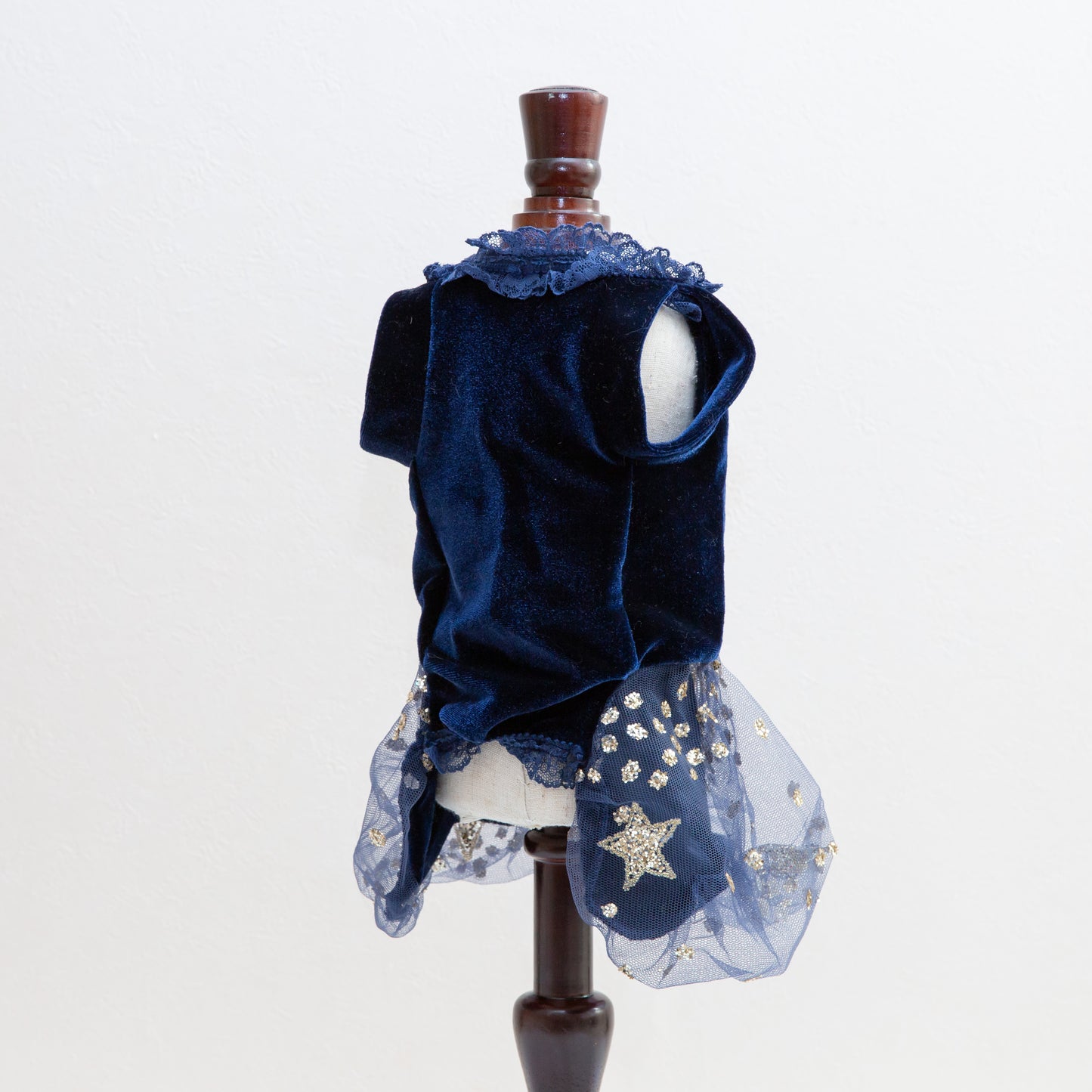 The Princess Dress Stars