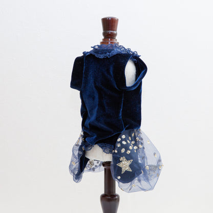 The Princess Dress Stars