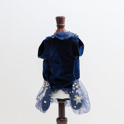 The Princess Dress Stars