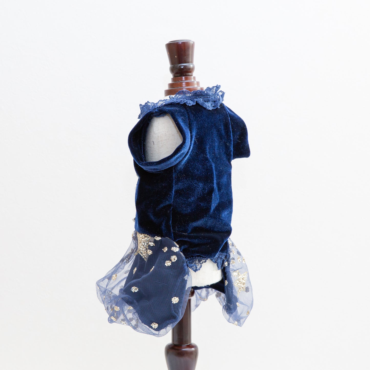 The Princess Dress Stars