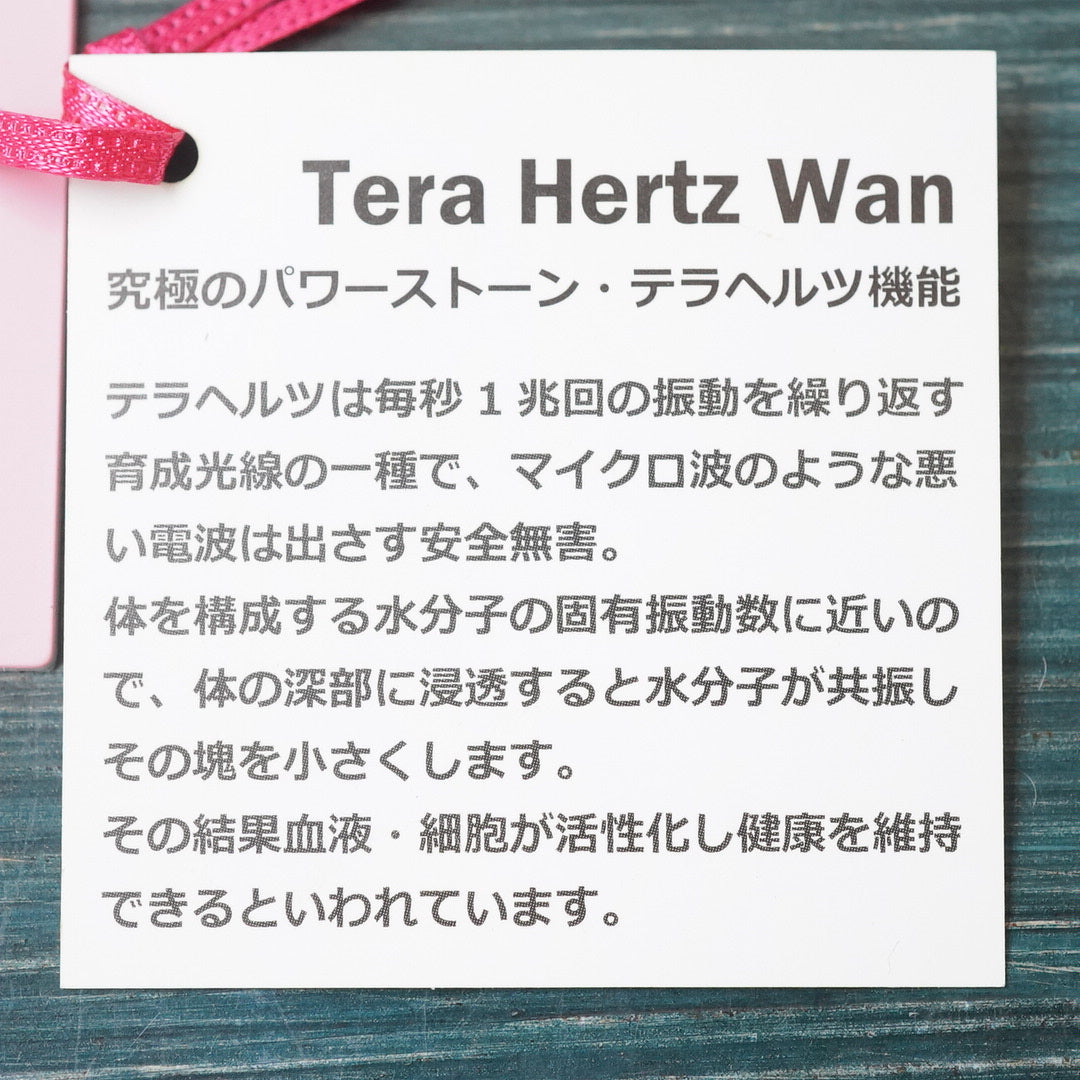 トリコロールダウンベスト【Ruban D'or】