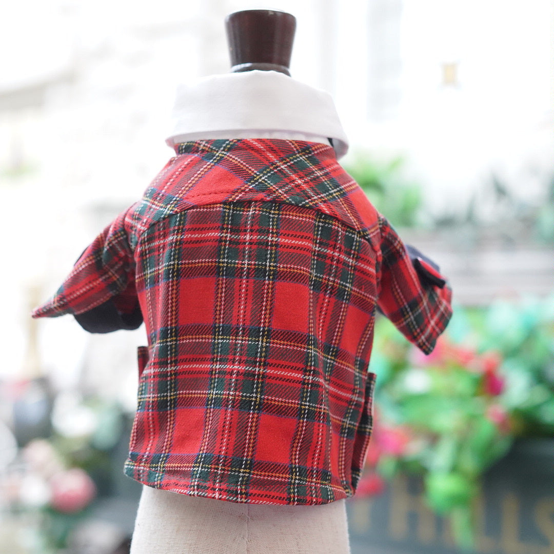 バレンタインギフト【Ruban D'or】