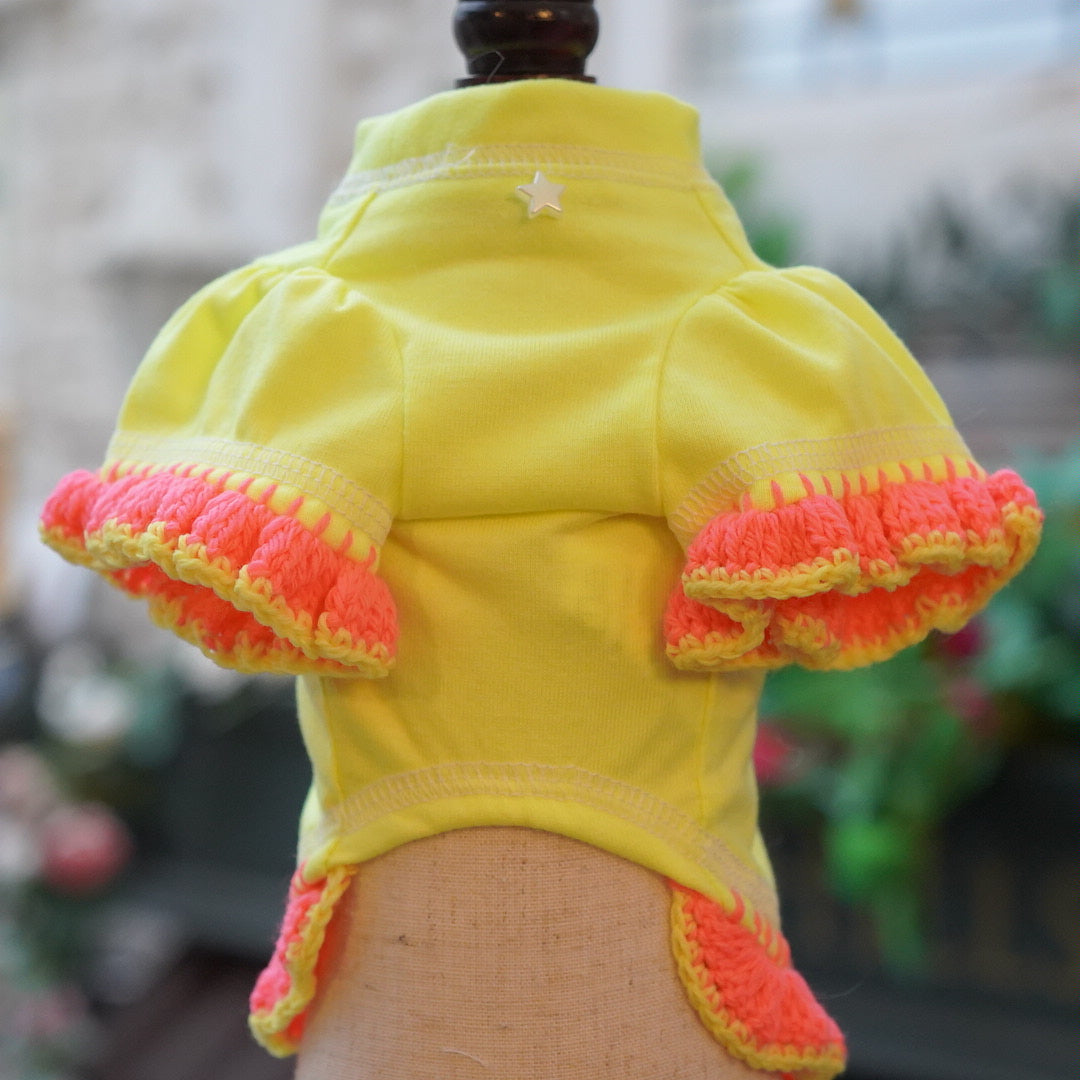 【OROKU】ﾙｸｽﾗｲﾄﾆｯﾄｺﾚｸｼｮﾝ