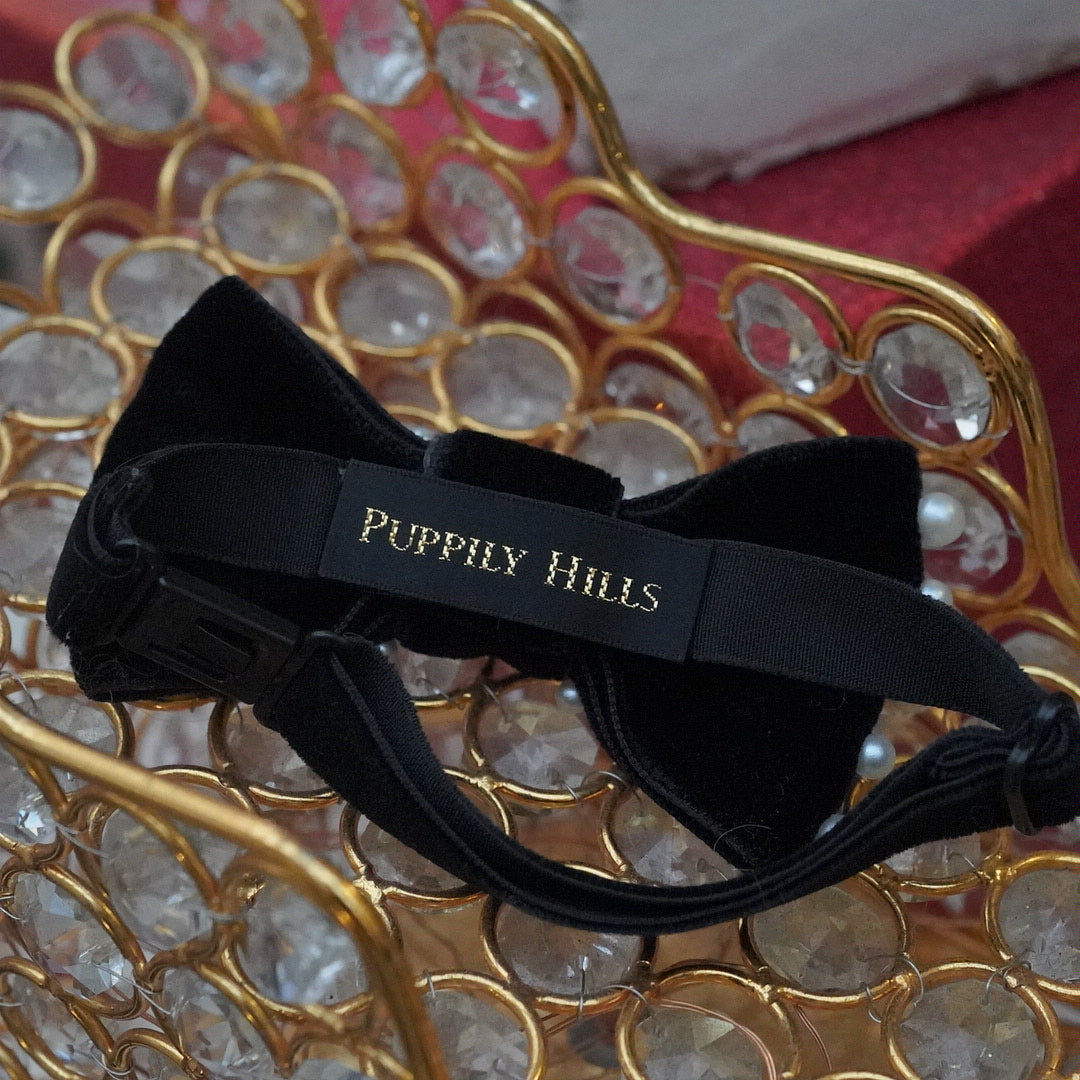 ベロアパール蝶ネクタイ【OROKU デニムリボン】