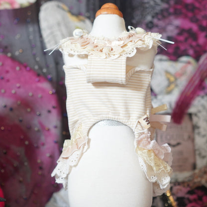 Cheese Bear【miss blue pet】