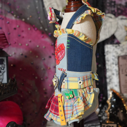 Crazy y2k シャツワンピース【miss blue pet】