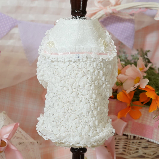 ｼｬﾙﾏﾝﾊﾞｰﾙﾚｰｽｼｬﾂ【Ruban D'or】