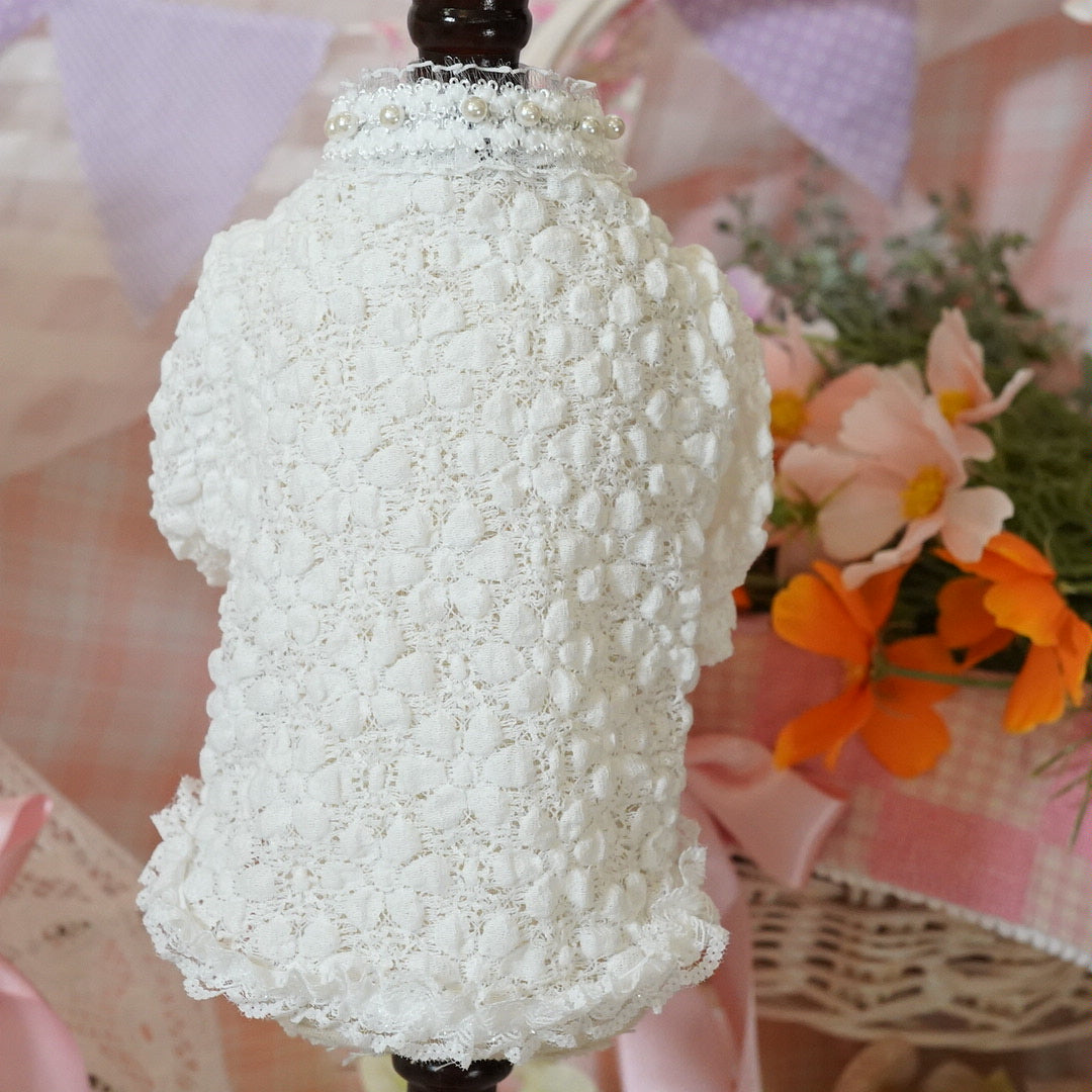 ｼｬﾙﾏﾝﾊﾞｰﾙﾚｰｽｼｬﾂ【Ruban D'or】