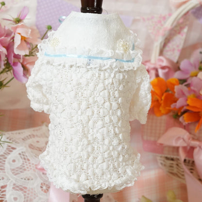 ｼｬﾙﾏﾝﾊﾞｰﾙﾚｰｽｼｬﾂ【Ruban D'or】