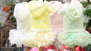 Candy dress【Miss blue pet】 – パピリーヒルズ オンラインショップ