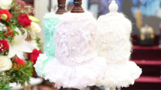 Pearl ruban dress【Miss blue pet】