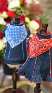 バンダナカントリーフリルシャツ【Ruban d'or】