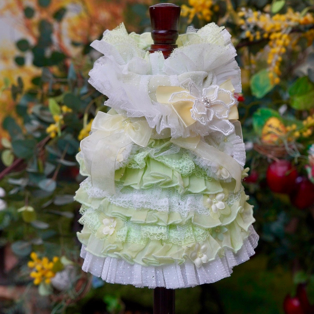 森の妖精【Miss blue pet】