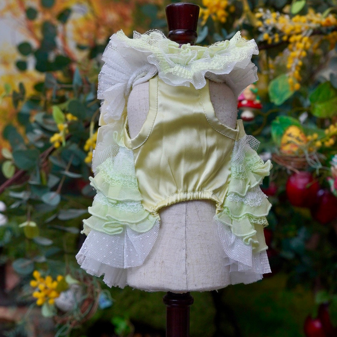 森の妖精【Miss blue pet】