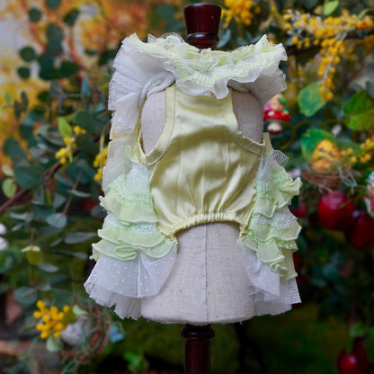 森の妖精【Miss blue pet】