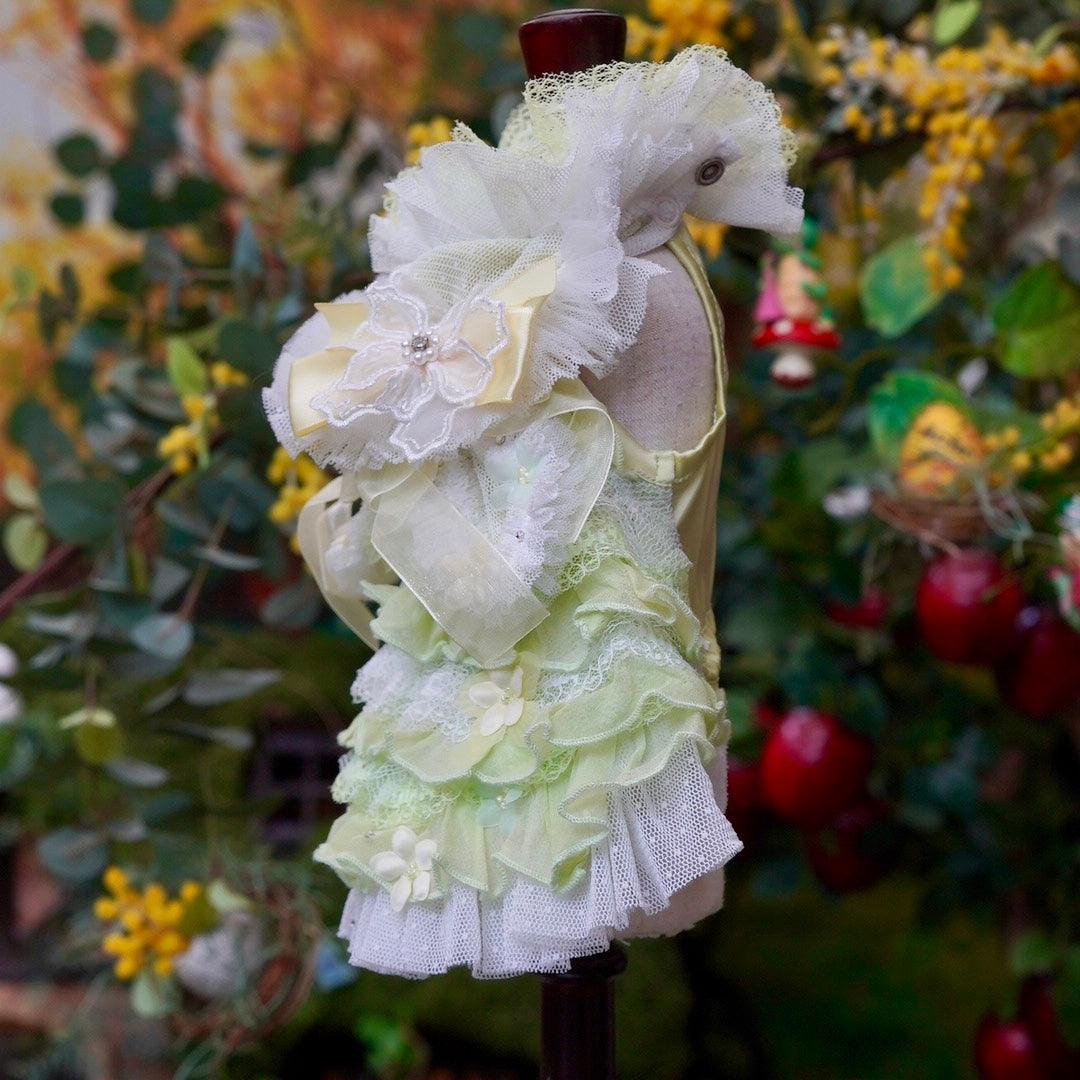 森の妖精【Miss blue pet】