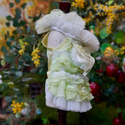 森の妖精【Miss blue pet】